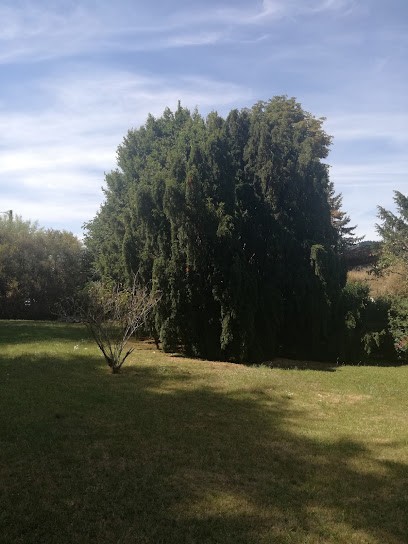 Tortill'art, Salle de Spectacles à Saint-Amans-Soult