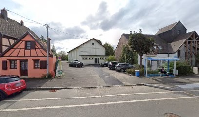Alexandru Eléna, Salle de Spectacles à Village-Neuf