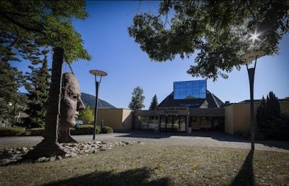 Relais Culturel Intercommunal, Salle de Spectacles à Thann