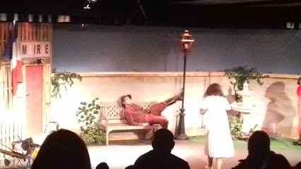 Théâtre du Petit Buffon, Salle de Spectacles à Villeneuve-Saint-Germain