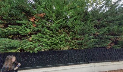 Orchestre Symphonique Bel'Arte, Salle de Spectacles à Verrières-le-Buisson