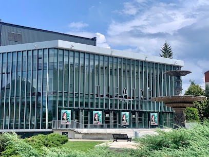 Theatre Maurice Novarina, Salle de Spectacles à Thonon-les-Bains