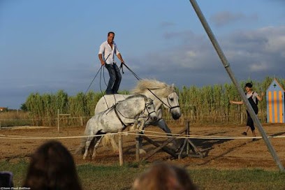 Compagnie Acrocheval, Salle de Spectacles à Saint-Georges-d'Oléron