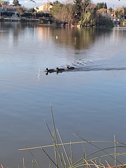 Thêatre de l'Etang, Salle de Spectacles à Saint-Estève