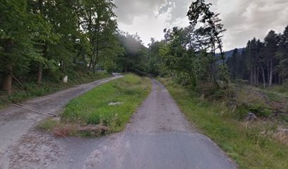 Compagnie Les Fées Du Logis, Salle de Spectacles à Saint-Dié-des-Vosges