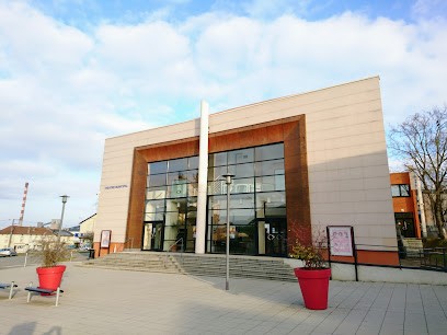 Théâtre Municipal Lucien Houllé, Salle de Spectacles à Serémange-Erzange