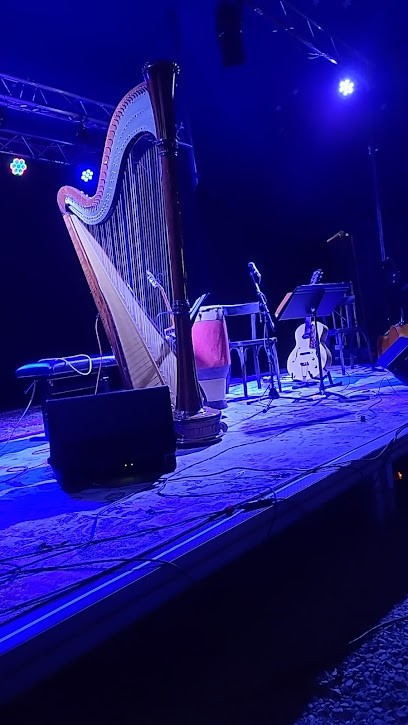 Centre Musical International De Roussigny, Salle de Spectacles à Saint-Ulphace