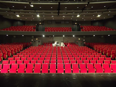 Theatre Edwige-Feuillère, Salle de Spectacles à Vesoul